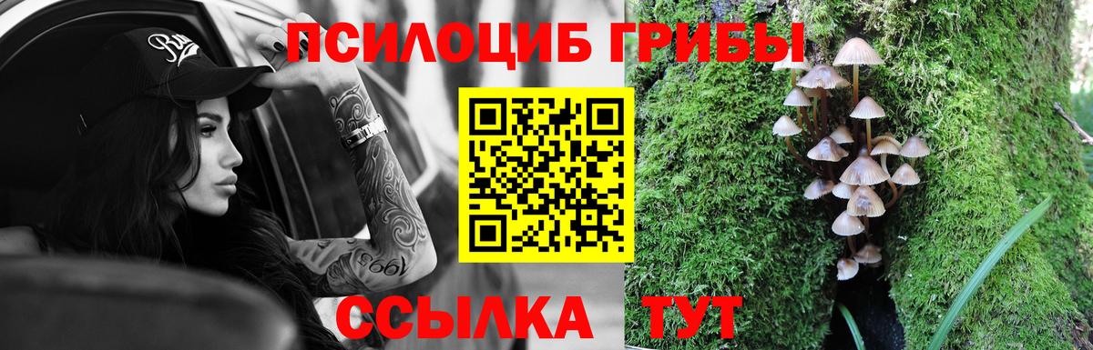 Полысаево  Галлюциногенные грибы Psilocybine cubensis  Вход с VPN  Псилоцибиновые грибы мицелий 