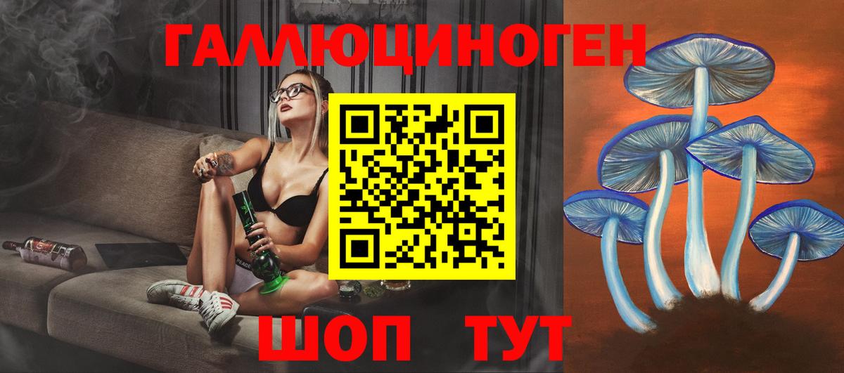 Псилоцибиновые грибы MAGIC MUSHROOMS Полысаево